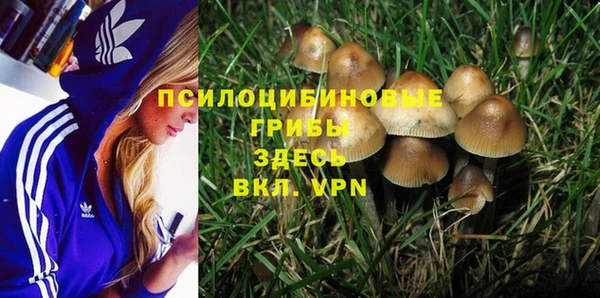 spice Баксан
